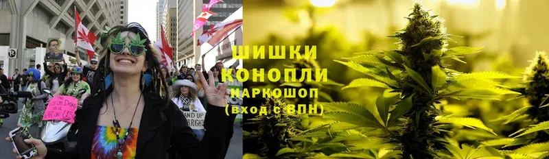 маркетплейс наркотические препараты  Ивангород  Конопля SATIVA & INDICA 